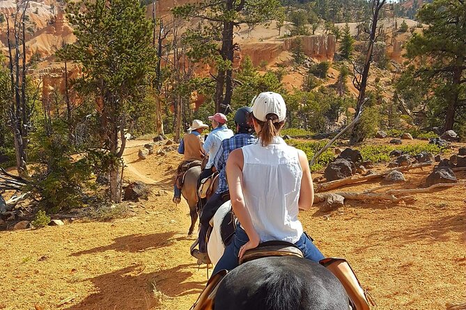 Ruby's Horseback Adventures Utah Thunder Mt. 4 Hour Ride - Is $150 a fair price?