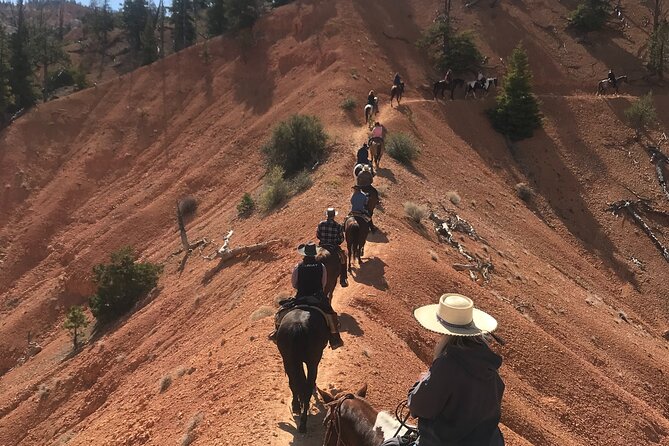 Ruby's Horseback Adventures Utah Thunder Mt. 4 Hour Ride - Starting at 8:30 a.m. in Red Canyon