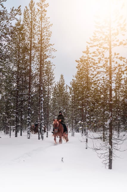 Saariselkä: Arctic Trail Horse Riding Tour - Meeting the horses at Polaris Point Horses