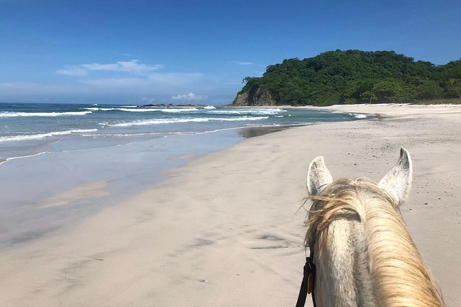 Safari & Barigona Beach on horseback - Key details at a glance