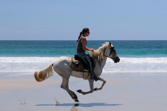 Safari & Barigona Beach on horseback - Why Barrigona Beach makes this ride special