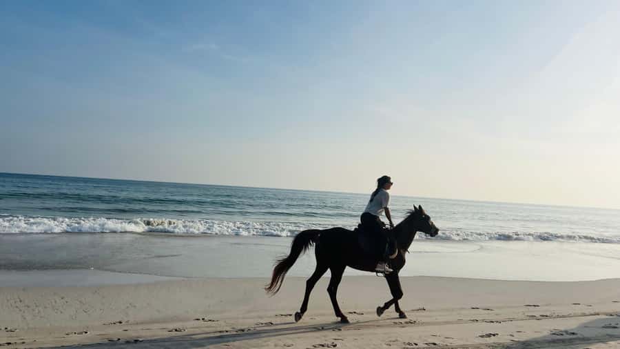 Salalah: Horse Riding by the Beach - Why a Salalah beach ride feels different