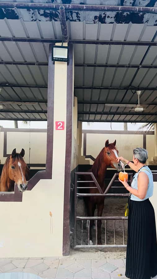 Salalah: Horse Riding by the Beach - Starting from your hotel in Salalah
