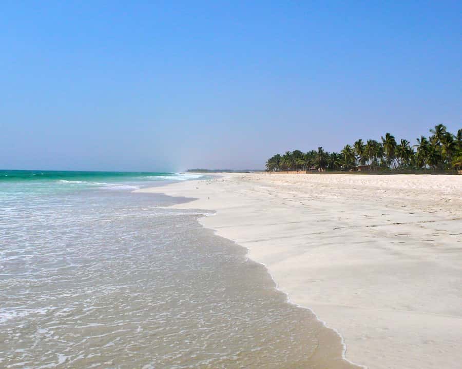 Salalah: Horse Riding by the Beach - The ride along the shore