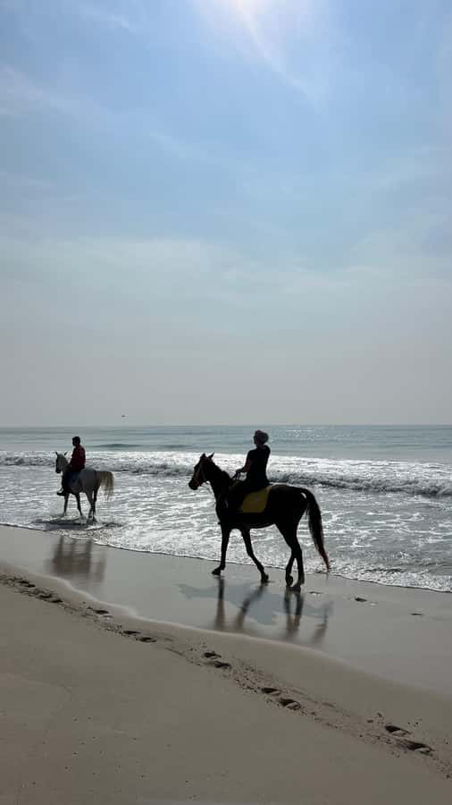 Salalah: Horse Riding by the Beach - Why the sunset timing is worth planning around