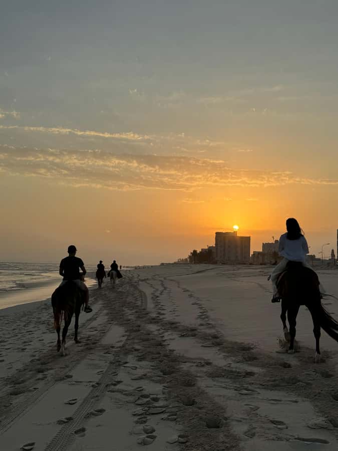 Salalah: Horse Riding by the Beach - How strong is the experience overall?