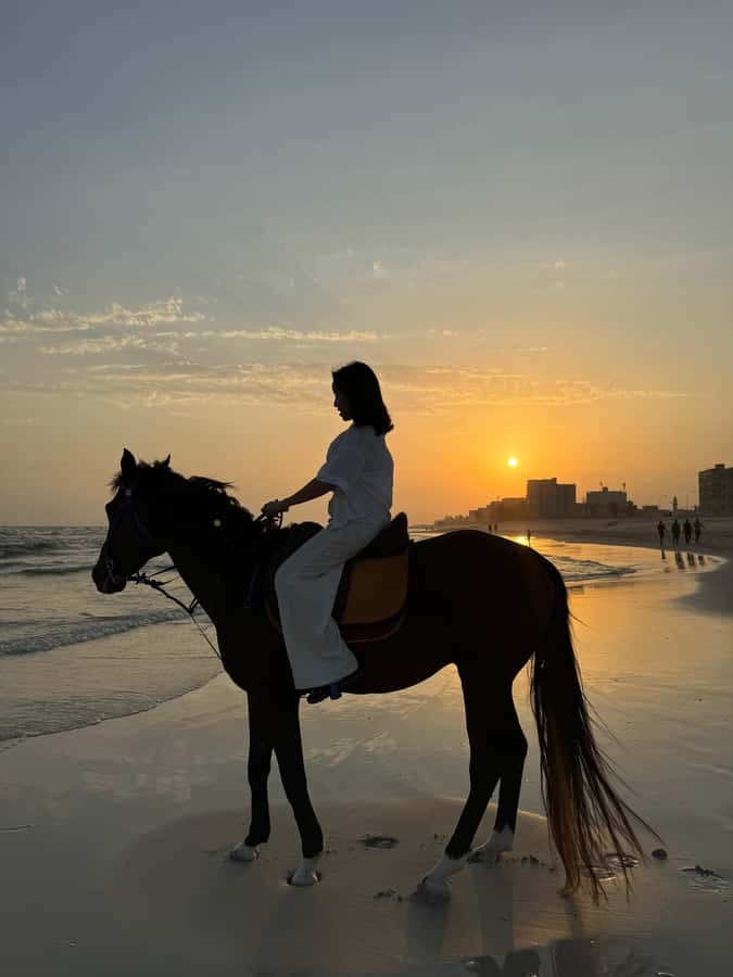 Salalah: Horse Riding by the Beach - Meeting the Arabian horses