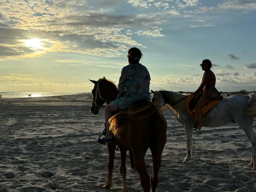 Salalah Horse Riding on the Beach optional Hotel Pick & Drop - Key points to know before you book