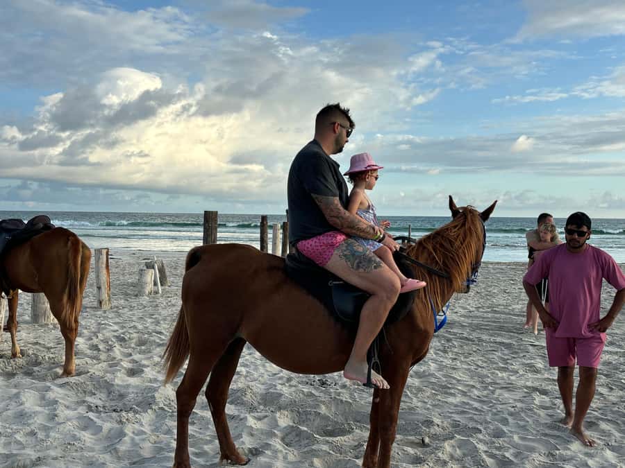 Salalah Horse Riding on the Beach optional Hotel Pick & Drop - A slow ride beside the Indian Ocean