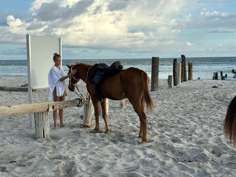 Salalah Horse Riding on the Beach optional Hotel Pick & Drop - Choosing between 30 minutes and one hour