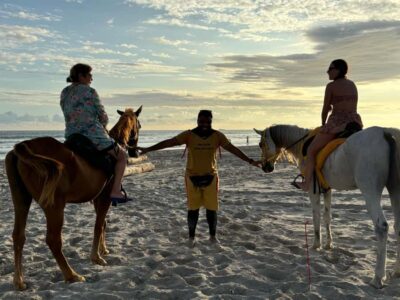 Salalah Horse Riding on the Beach optional Hotel Pick & Drop