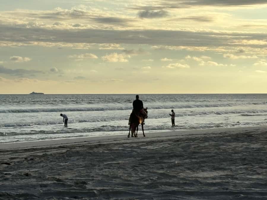 Salalah Horse Riding on the Beach optional Hotel Pick & Drop - Why sunset changes the experience
