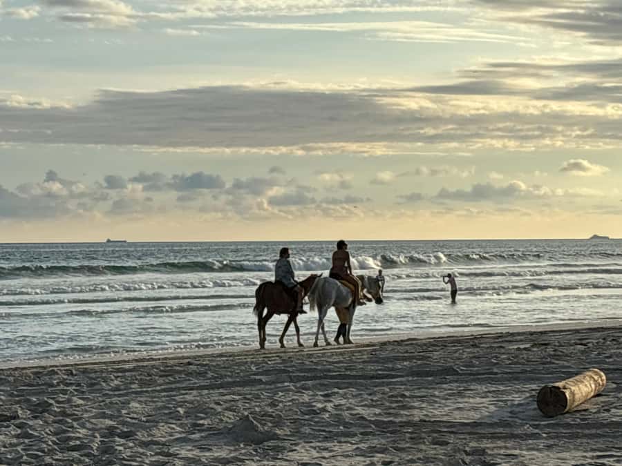 Salalah Horse Riding on the Beach optional Hotel Pick & Drop - A good choice for families and beginners