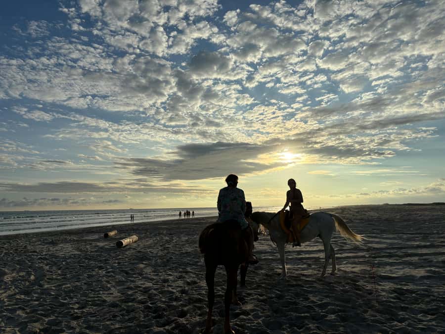 Salalah Horse Riding on the Beach optional Hotel Pick & Drop - Getting there and deciding on hotel pickup