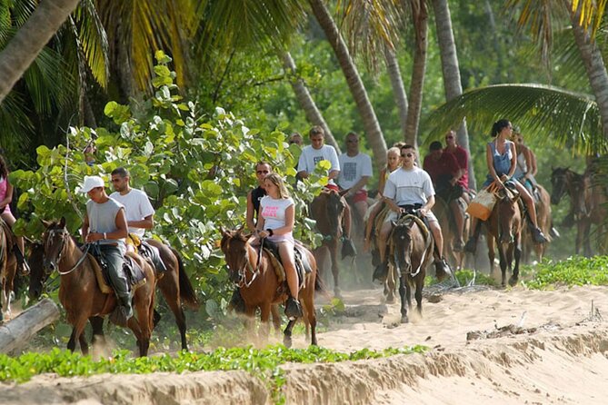 Samana + Cayo Levantado + Horseback Riding from Punta Cana with Lunch - El Limón Waterfall and lunch at the base