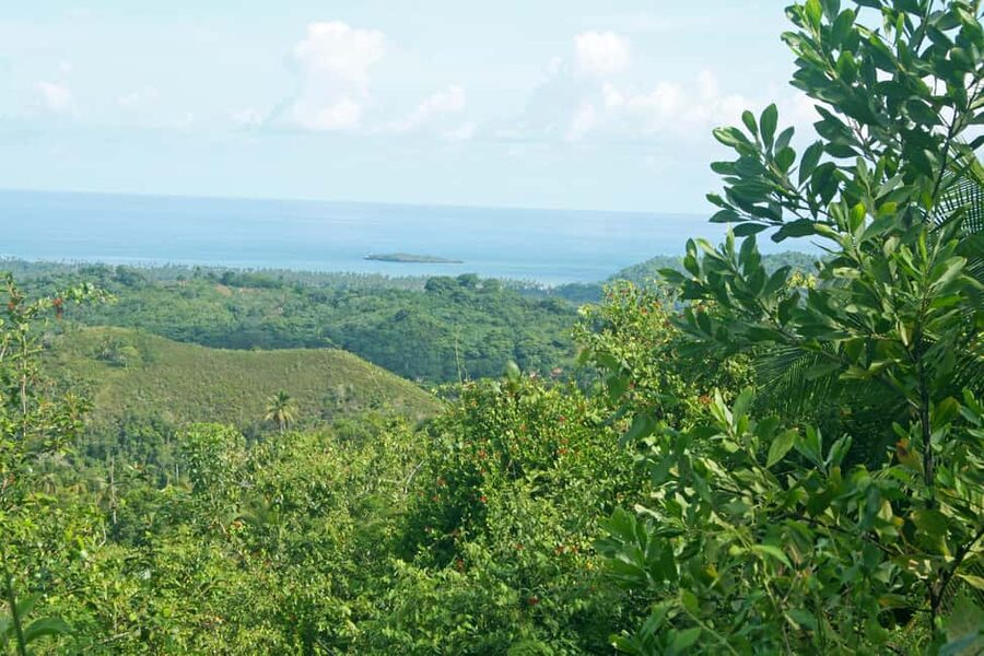 Samaná: El Limón Waterfall Horseback Riding Tour - Key points to know before you book