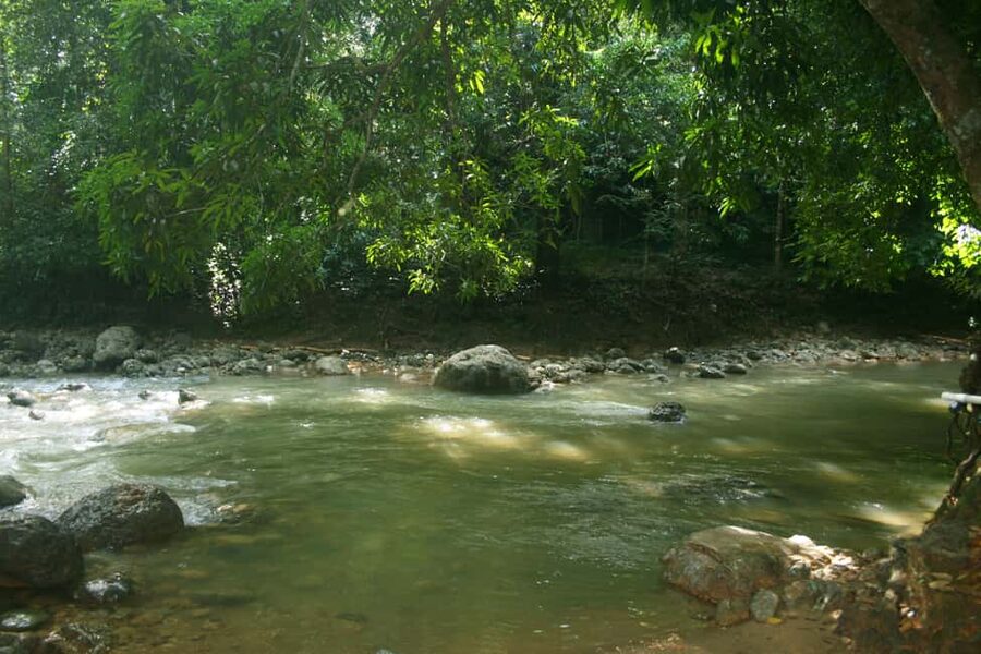 Samaná: El Limón Waterfall Horseback Riding Tour - Riding from Parada Maria y Miguel into Samaná’s countryside