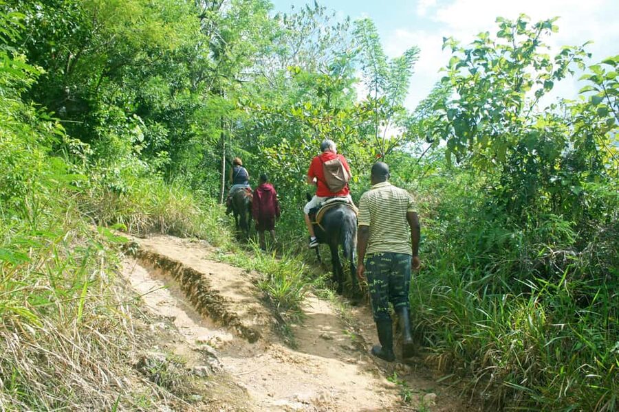 Samaná: El Limón Waterfall Horseback Riding Tour - Who should book this horseback ride?