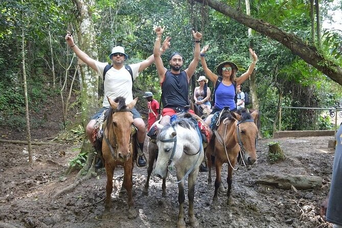 Samana - Key Levantado - Limon Waterfall - Horseback Riding - Price, group size, and what you really receive