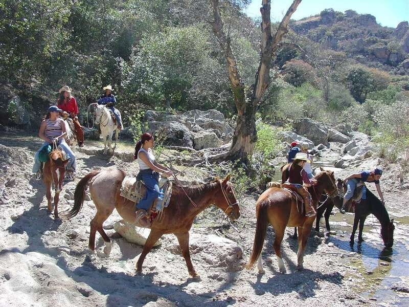 San Miguel Allende: Half-Day Horseback Riding Adventure - Transport, timing, and cancellation