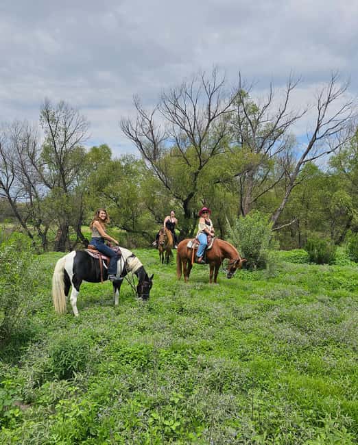 San Miguel de Allende: Horseback Riding Tour - The first lesson and horse match