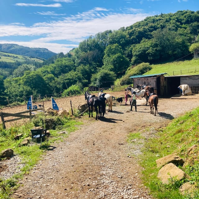 San Sebastian: Horseback Riding & Traditional Delights - Riding through Peñas de Aya Natural Park