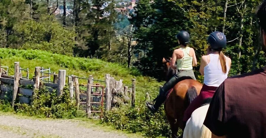 San Sebastian: Horseback Riding & Traditional Delights - What the ride is like for different experience levels
