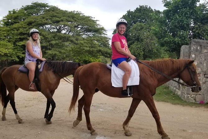 Sand n Saddle Horseback Ride & Swim Tour from Falmouth - Key points to know before you saddle up
