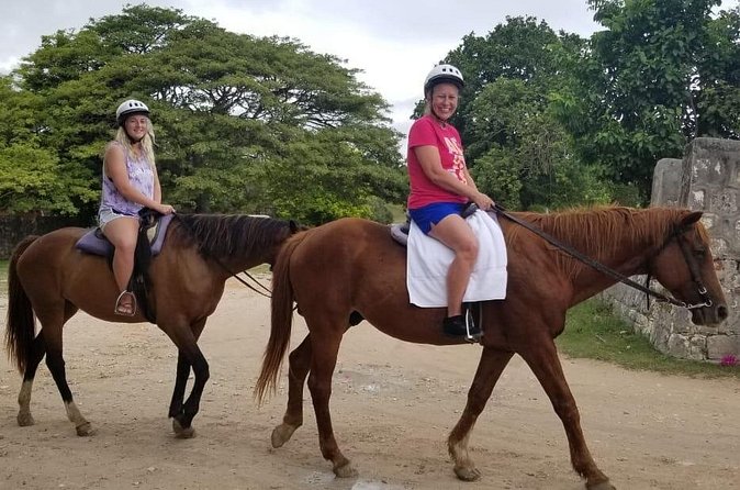 Sand n Saddle Horseback Ride & Swim Tour from Runaway Bay - What the price includes at $193.50
