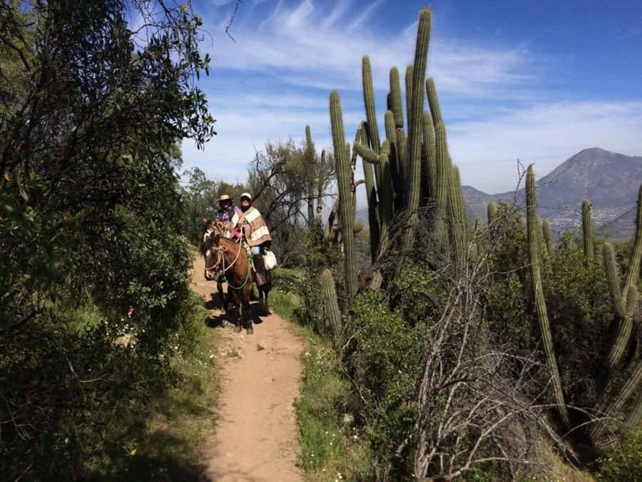 Santiago: Private Andes Foothills Horseback Riding. Half day - The plateau lookout and the Andes skyline
