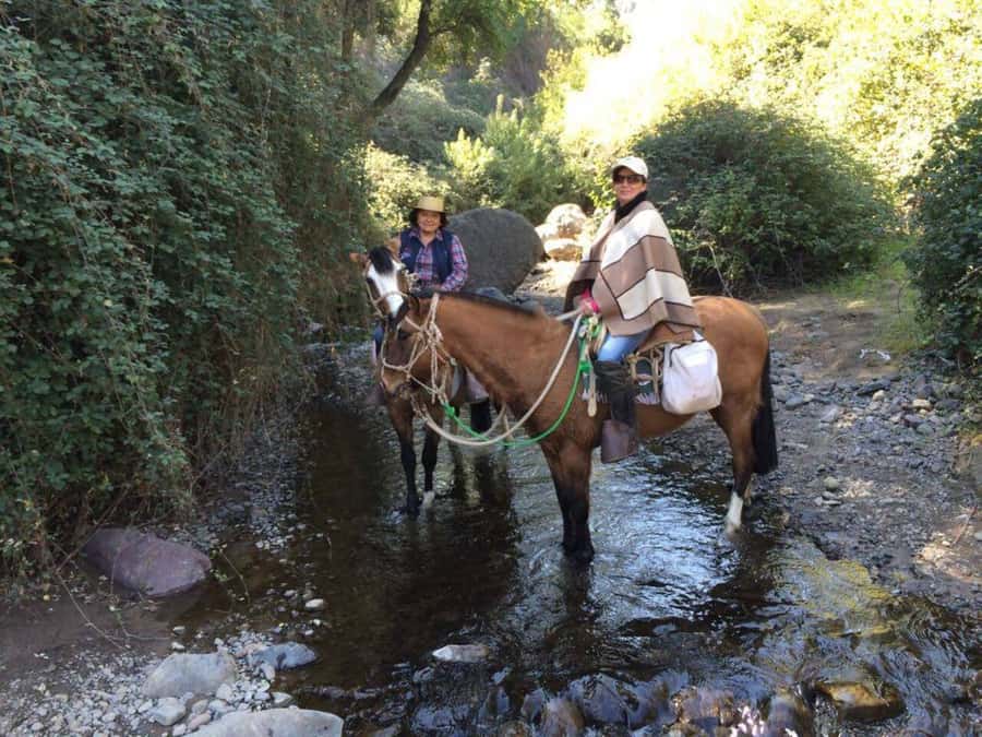 Santiago: Private Andes Foothills Horseback Riding. Half day - Is $250 per person good value?