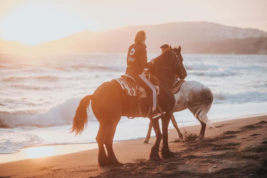 Santorini: Extreme Horse Safari with Beach Gallop - Starting in Megalochori among vineyards and old lanes