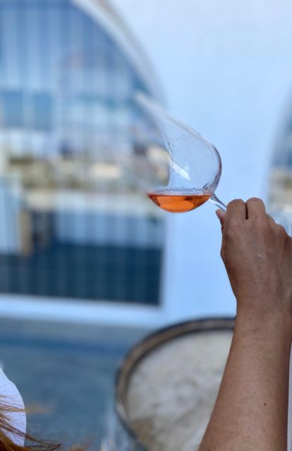 Santorini Fun day: Horseriding- Wine Tasting - Tapas - Key points to know before booking