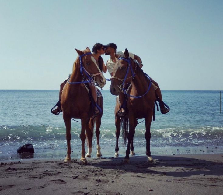 Santorini Fun day: Horseriding- Wine Tasting - Tapas - Why this five-hour Santorini outing feels different