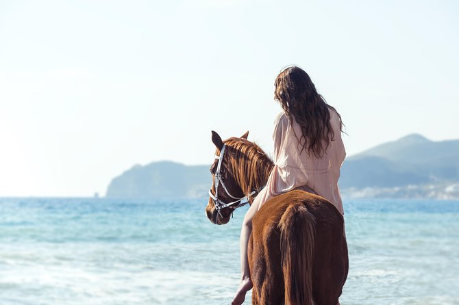 Santorini Horse Riding to Black Sandy Beach - Key points before you book