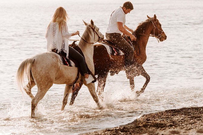 Santorini: Horse Riding to the Black Sandy Beach (Eros beach) - From Megalochori stables into southern Santorini
