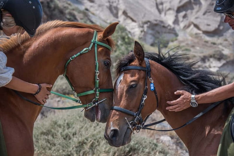 Santorini: Horse Riding Trip to Black Sandy Beach - What to bring and what to expect at the stable