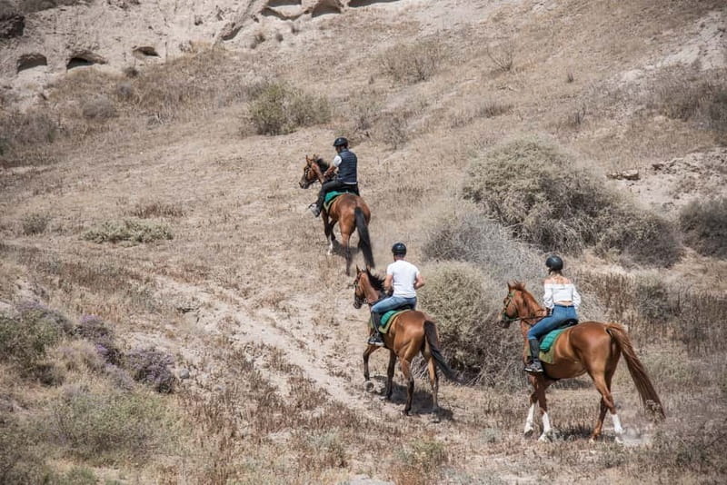 Santorini: Horse Riding Trip to Black Sandy Beach - What the guides do well