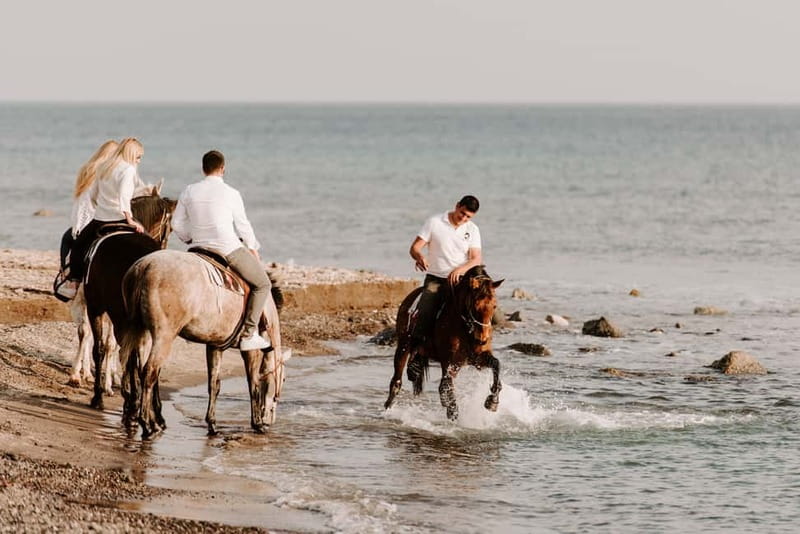 Santorini: Horseback Riding on the Black Sandy Eros Beach - The horses and the pace of the ride