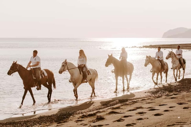 Santorini: Horseback Riding on the Black Sandy Eros Beach - Who should book this Santorini ride?
