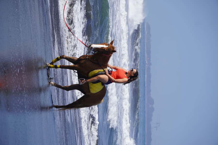 Sanur: Horse Riding at the Bali Beach 30 minute ride - Meeting your horse at Muara Adventure