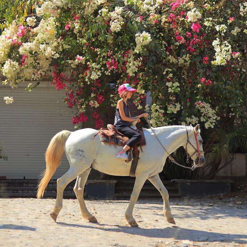 Sayulita: Horseback Riding Tour - Reaching the beach and opening up the ride