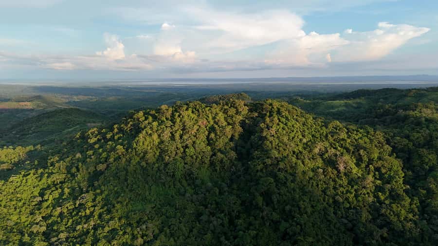 Scenic Horseback Ride in Tropical Mountain Reserve - What the 15-kilometer horseback ride is like