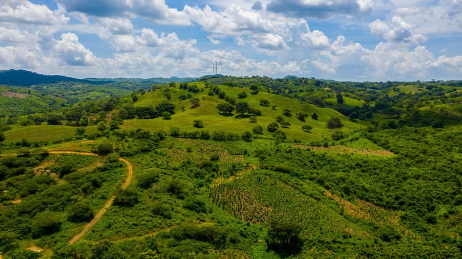 Scenic Horseback Ride in Tropical Mountain Reserve - Mountain views from horseback and UTV