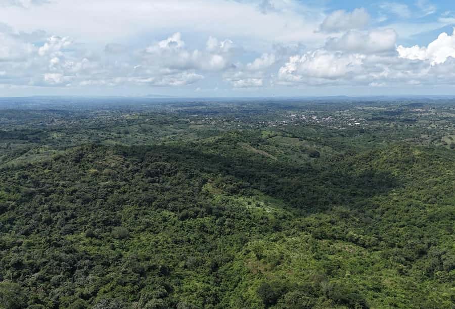Scenic Horseback Ride in Tropical Mountain Reserve - The hike and the final tree planting