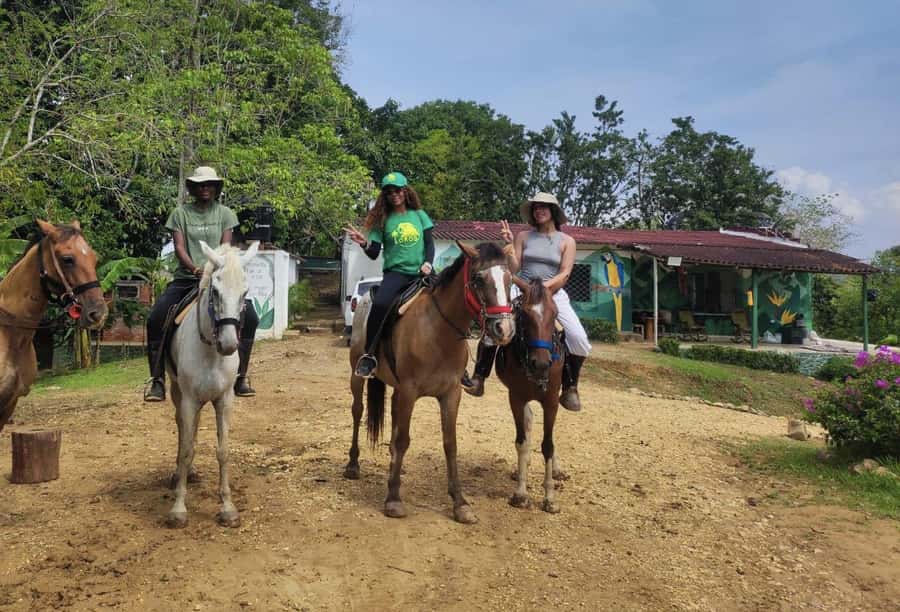 Scenic Horseback Ride in Tropical Mountain Reserve - Who will enjoy this day most