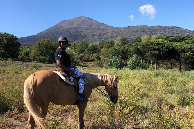 Scenic Horseback Ride, Wine Tasting & Lunch on Mt. Vesuvius - Why this Vesuvius outing works so well