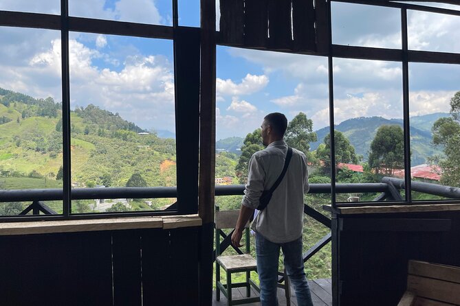 Scenic Horseback Riding in the Medellín Mountains - Riding Through Pine Forest, Farms, and Creeks