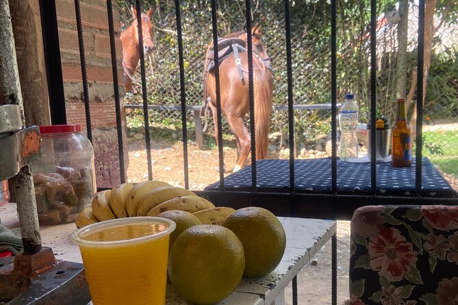 Scenic Horseback Riding in the Medellín Mountains - Price, Duration, and What You Receive
