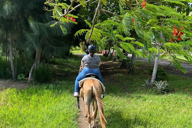 Scenic Horseback Riding Tour from San Juan - A Calm Ride, With Occasional Trotting